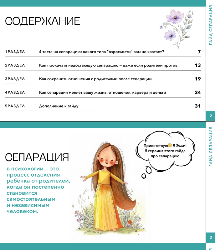 Гайд сепарация
